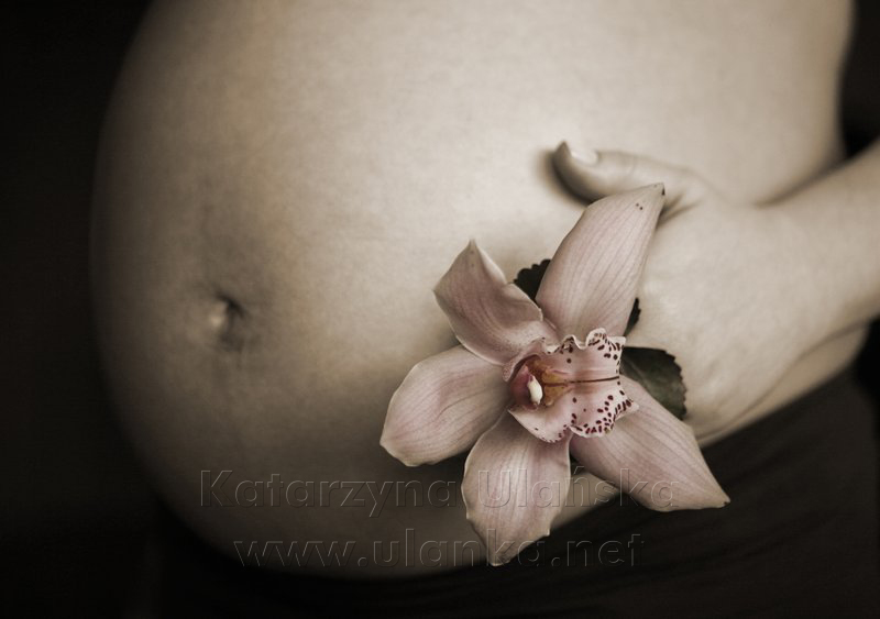 Fotografia ciążowa, brzuszek kobiety w ciąży i storczyk