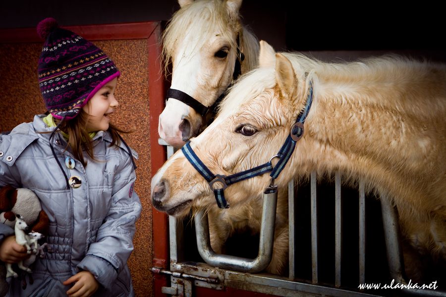 Dziewczynka przy koniach