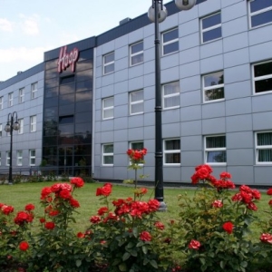 fotografia wizerunkowa, kwiaty na tle budynku